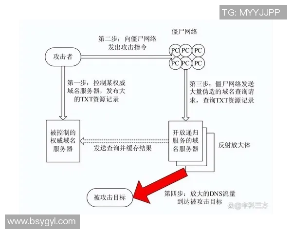 深入分析成都排球队的进攻策略与战术特点探讨