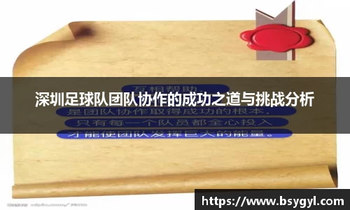 深圳足球队团队协作的成功之道与挑战分析